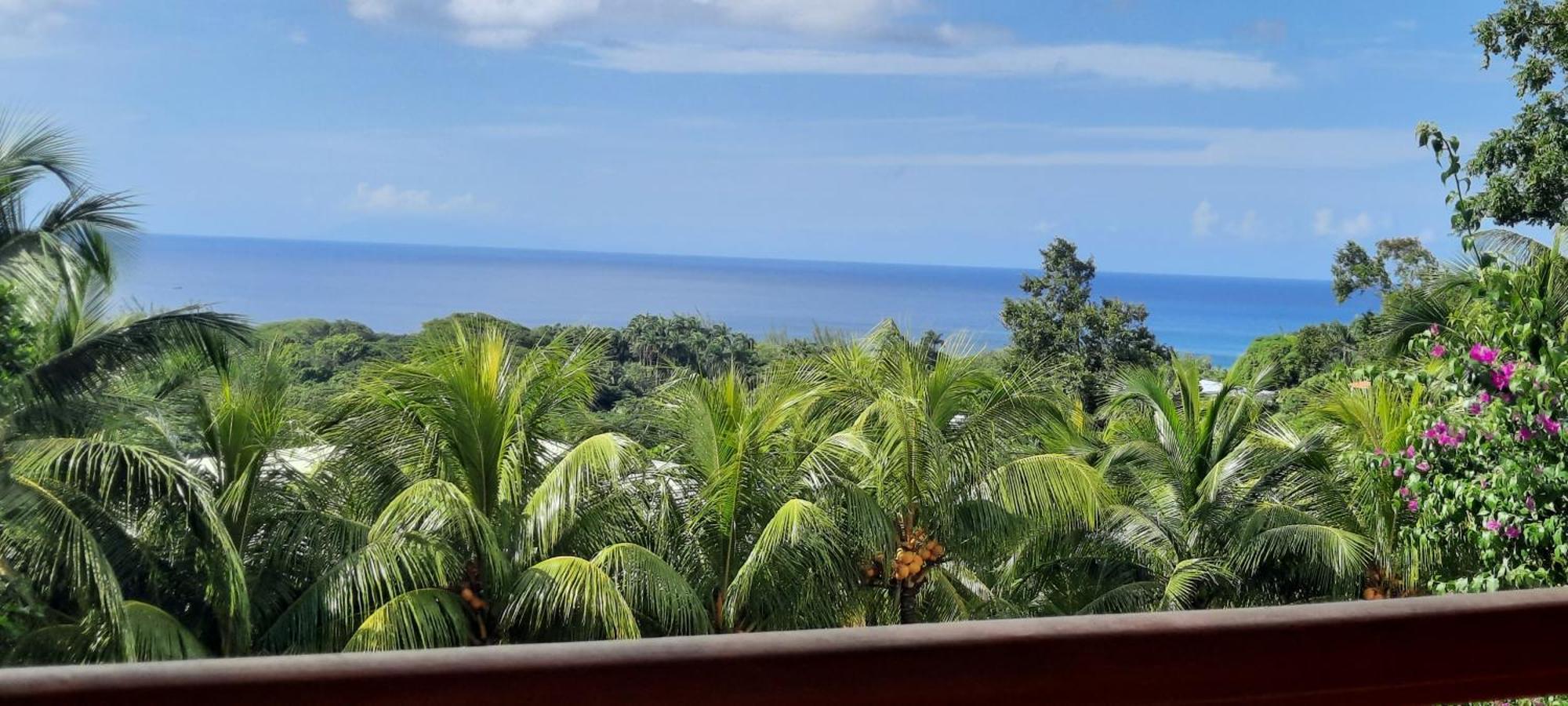 Oasis De Grande Anse Deshaies