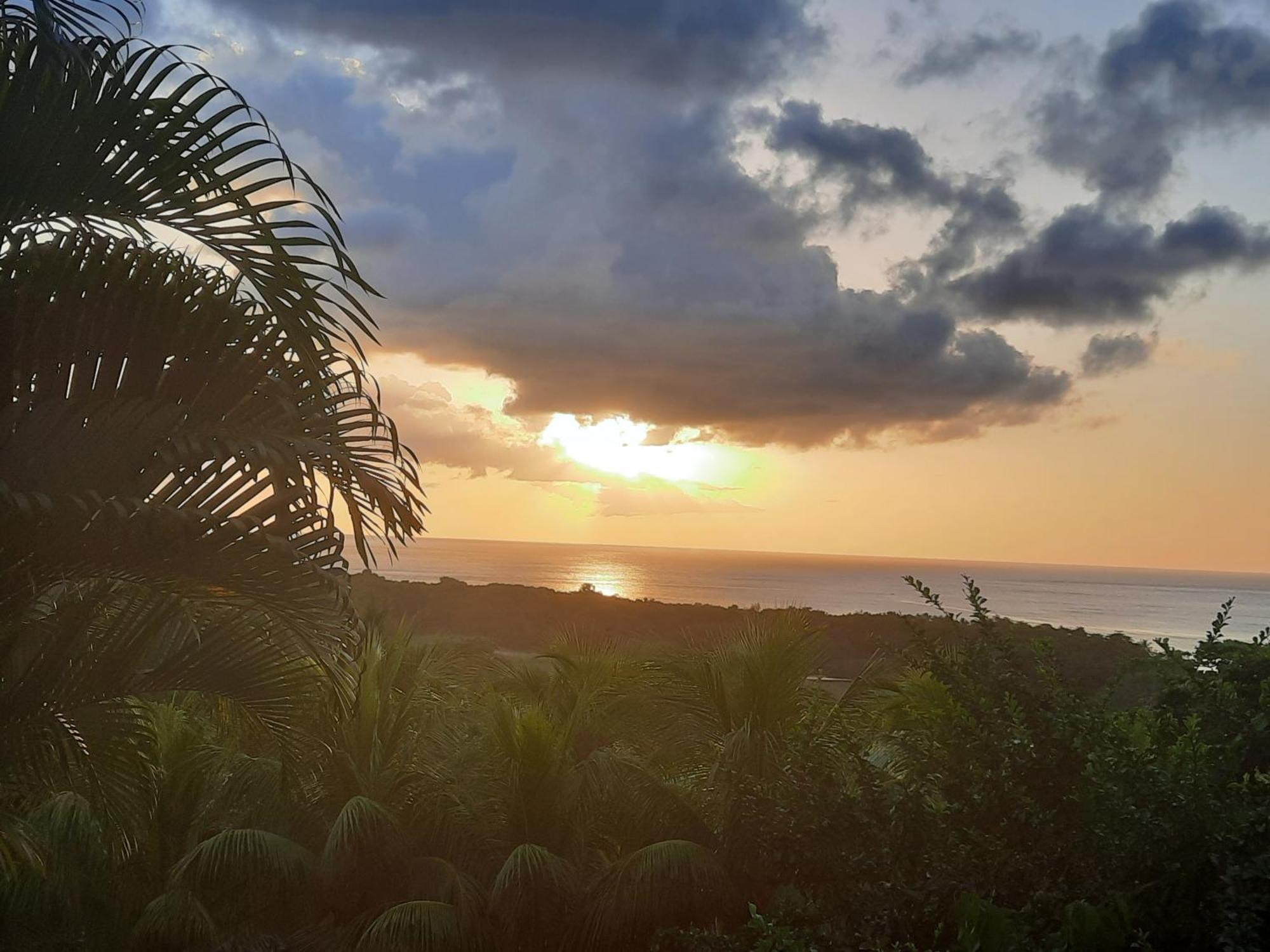 Oasis De Grande Anse