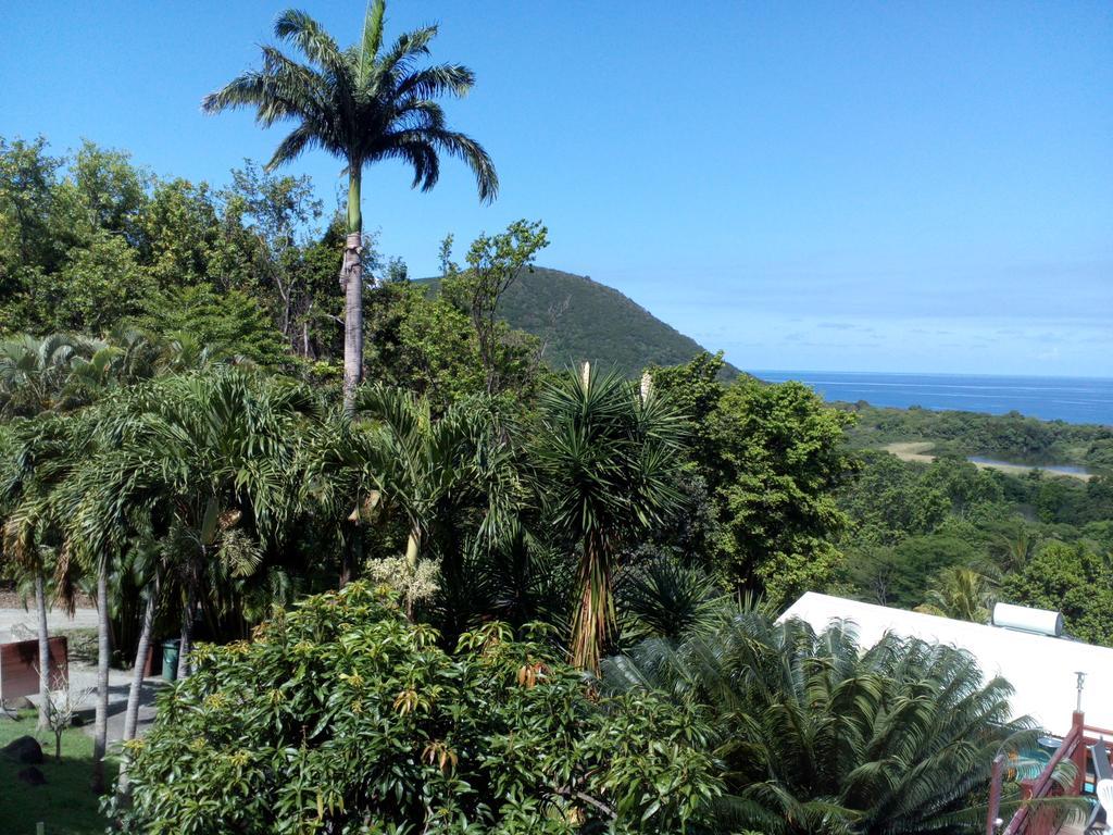 Oasis De Grande Anse * Deshaies