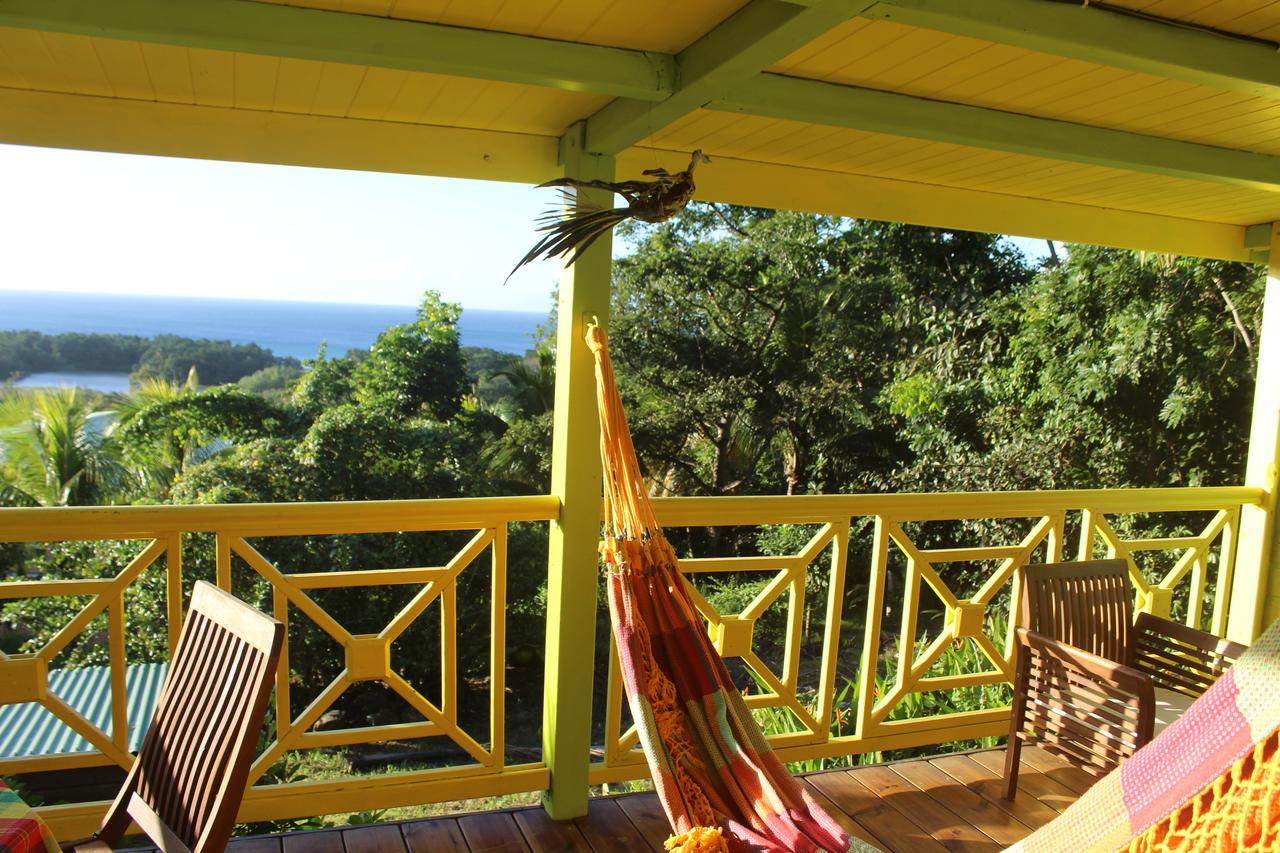 Oasis De Grande Anse *