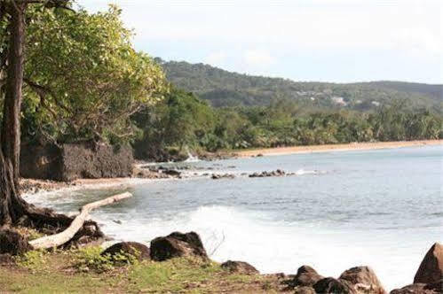 Oasis De Grande Anse